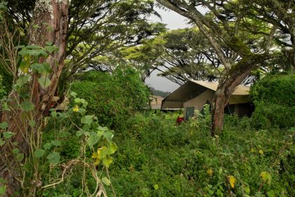 Lemala-Ngorongoro 3