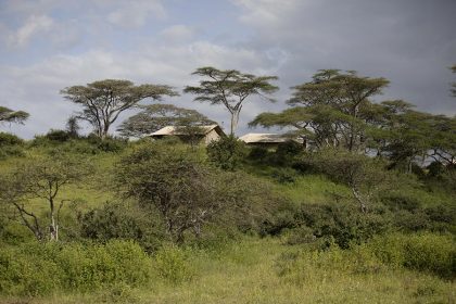 Nyikani Migration Camp – Ndutu 1