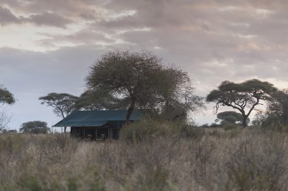 Nyikani Migration Camp – Ndutu 2