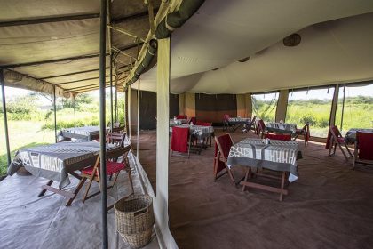 Nyikani Migration Camp – Ndutu 6