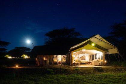 Serengeti Woodland Camp 6