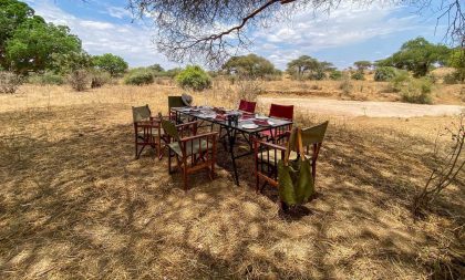 Tarangire safari lodge 3