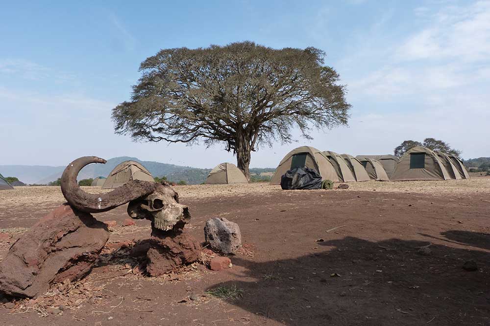 Private Great Migration Camping Safari