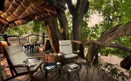 lake manyara tree lodge 6