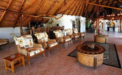 manyara wildlife safari camp 2