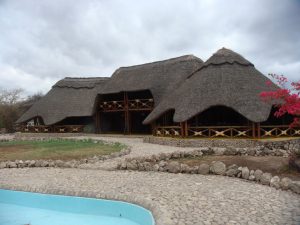 manyara wildlife safari camp 6