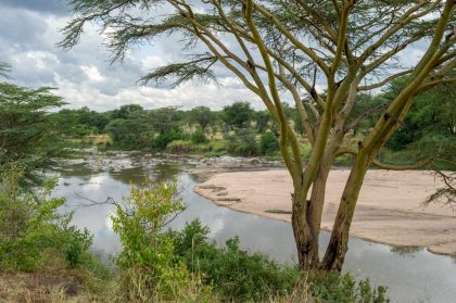 mara-mara-tented-lodge-4