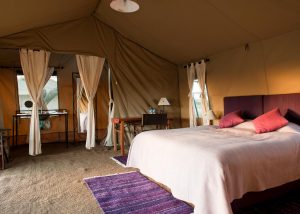 mara-ndutu-under-canvas-1