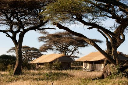 mara-ndutu-under-canvas-6