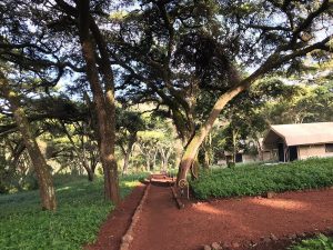 ngorongoro-tortilis-camp 4