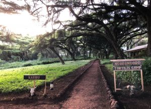 ngorongoro-tortilis-camp 5