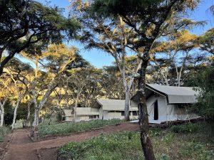 ngorongoro-tortilis-camp 6