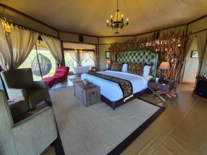 tarangire kuro treetops lodge 1 (Medium)