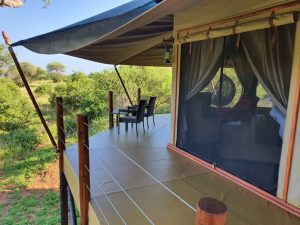 tarangire kuro treetops lodge 2 (Medium)