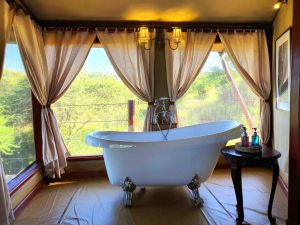 tarangire kuro treetops lodge 4 (Medium)