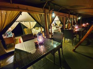 tarangire kuro treetops lodge 5 (Medium)