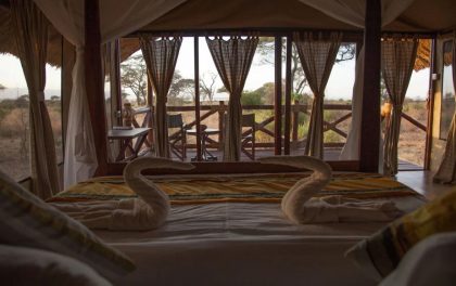 tarangire simba lodge 3