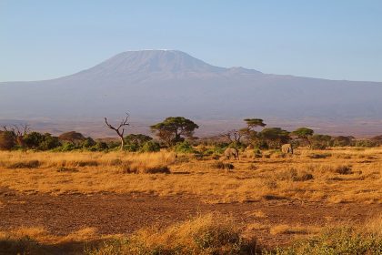 Amboseli, Great Migration Safari, Private Great Migration Camping Safari, Private Safari to Kenya, National Parks Safari, Mid-Range Migration Crossing Safari, Private Spectacular Migration Safari