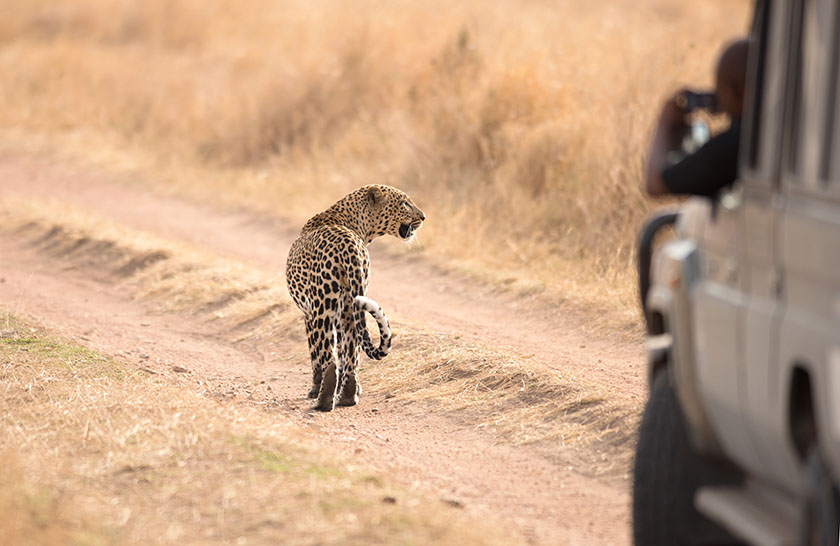 Awesome Safari to Masai Mara, Kenya National Parks Safari