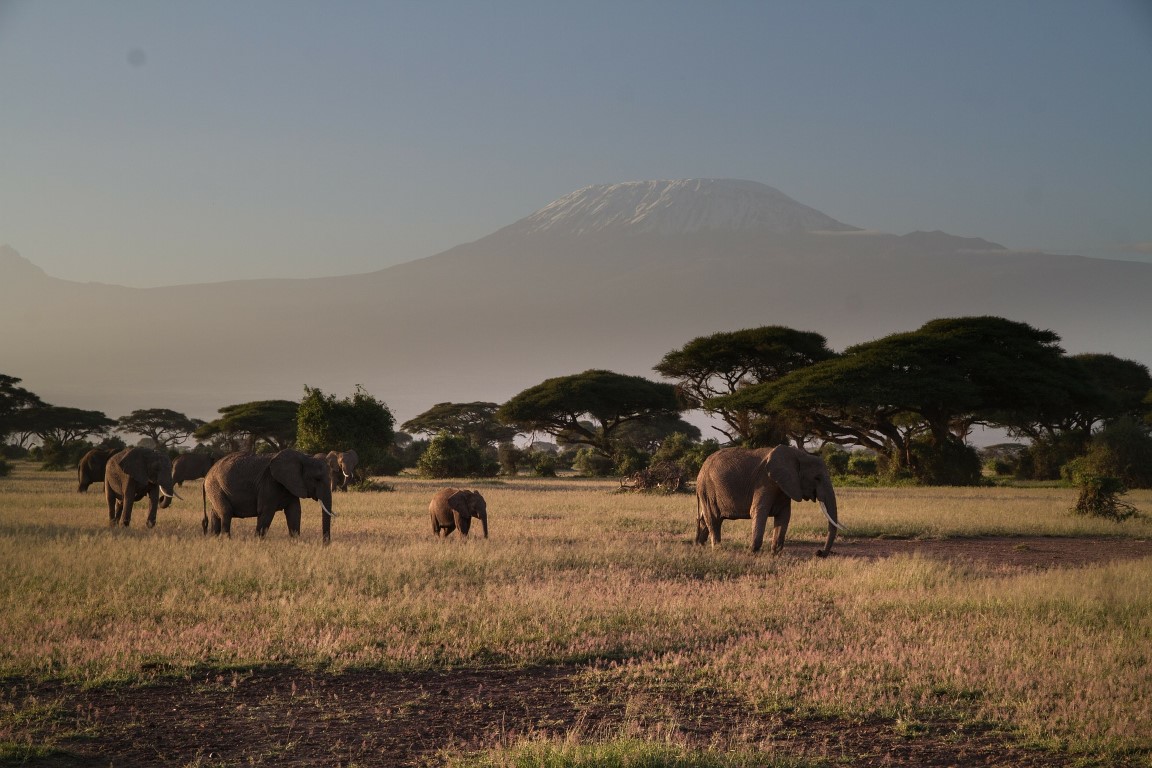 3 Days Luxury Fly Safari to Serengeti & Ngorongoro Crater, Arusha National Park, Lake Manyara National Park, Safari to Ngorongoro Crater, Tarangire National Park, Safari to Tarangire