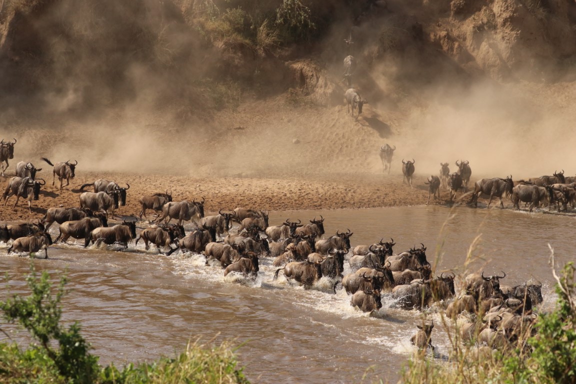 5 Days Luxury Great Migration Safari From Zanzibar